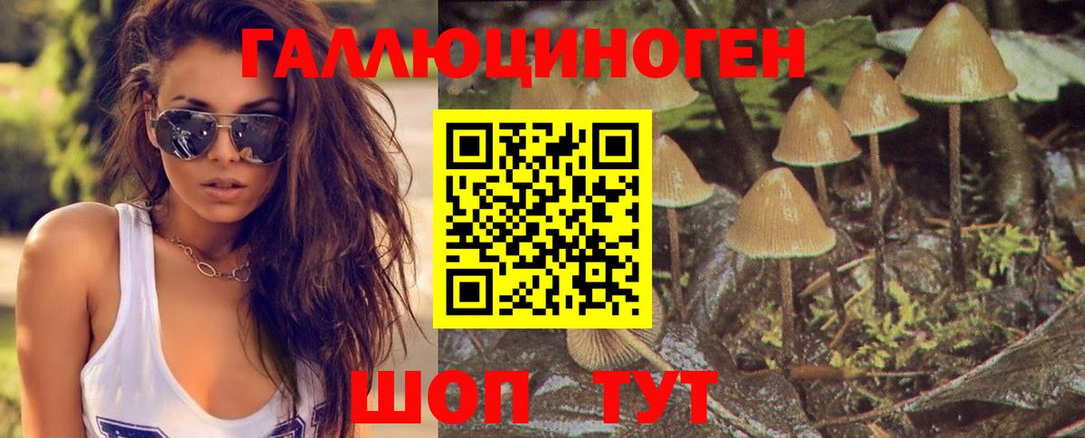 ГАШ  Конопля  НБОМе  АМФЕТАМИН   Канабис  ЭКСТАЗИ  Гусь-Хрустальный  Меф МЯУ МЯУ   Альфа ПВП СОЛЬ   Вход с VPN 