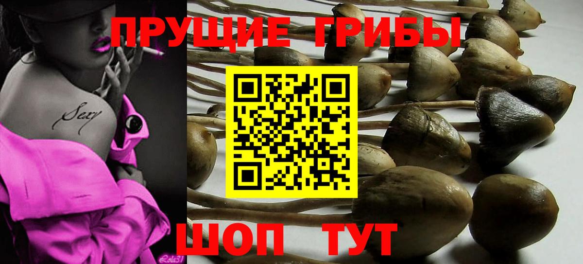 Гусь-Хрустальный  Псилоцибиновые грибы прущие грибы  Вход с VPN  Псилоцибиновые грибы MAGIC MUSHROOMS 